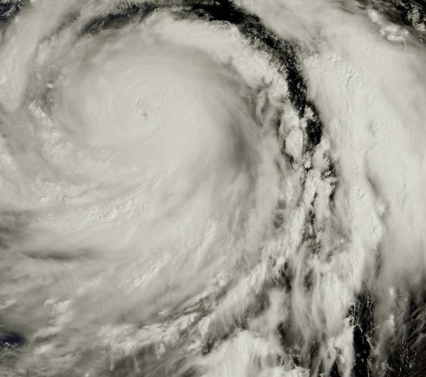 Monitoring tropical cyclones in the Pacific Ocean - 2009-2019