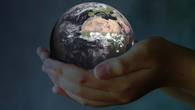 Eumetsat User Portal